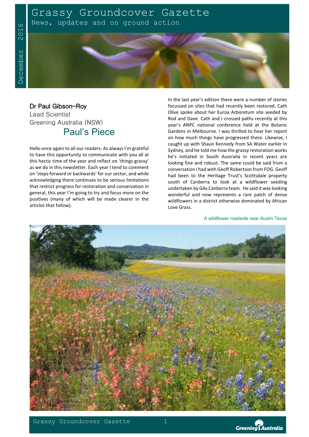 Grassy Groundcover Gazette December 2016