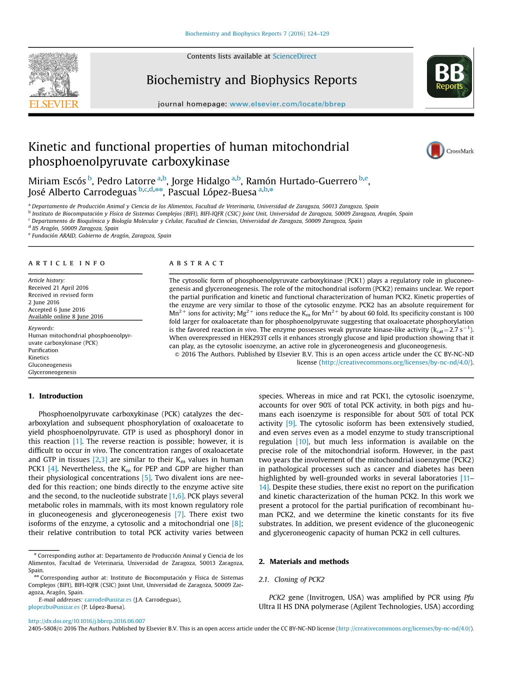 Kinetic and Functional Properties of Human Mitochondrial Phosphoenolpyruvate Carboxykinase