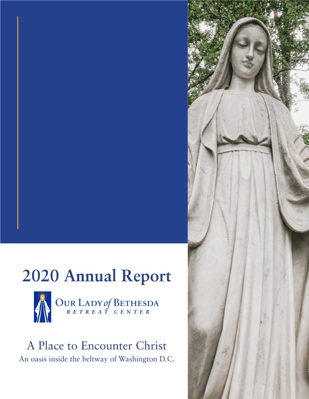 2020 Annual Report