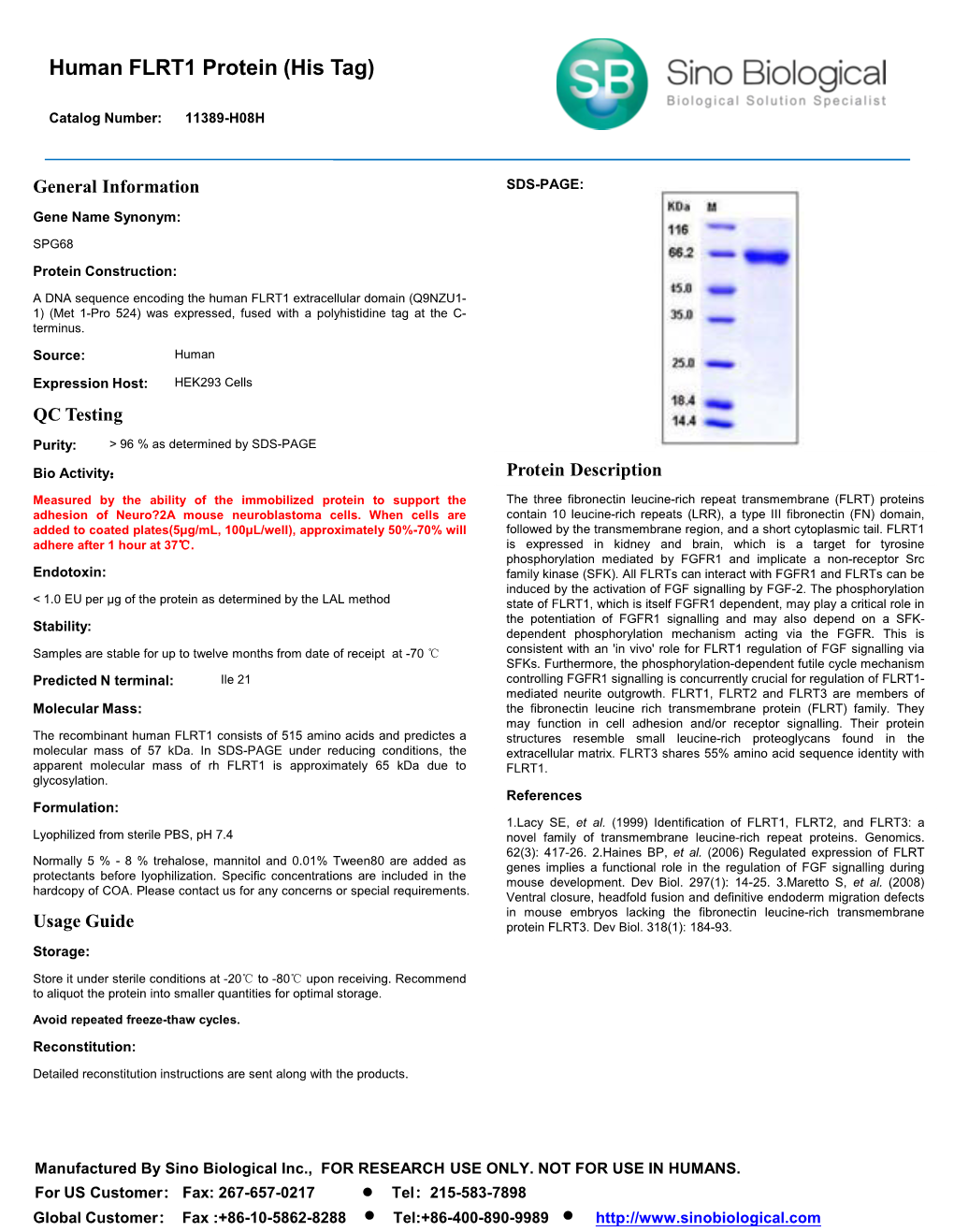 Human FLRT1 Protein (His Tag)