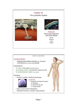 Page 1 Chapter 19: the Lymphatic System
