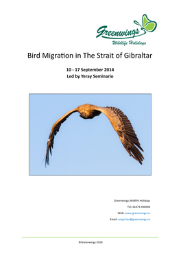 Bird Migration in the Strait of Gibraltar