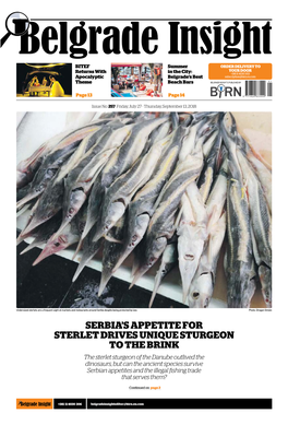 Serbia's Appetite for Sterlet Drives Unique Sturgeon to the Brink