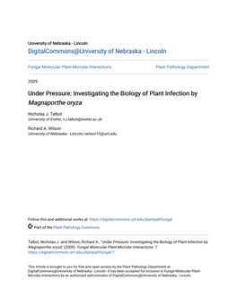 Investigating the Biology of Plant Infection by Magnaporthe Oryza