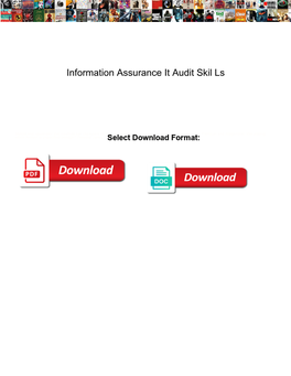 Information Assurance It Audit Skil Ls