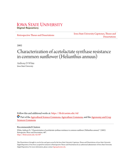 Characterization of Acetolactate Synthase Resistance in Common Sunflower (Helianthus Annuus) Anthony D
