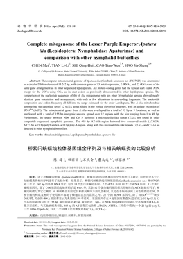 Complete Mitogenome of the Lesser Purple Emperor Apatura Ilia (Lepidoptera: Nymphalidae: Apaturinae) and Comparison with Other