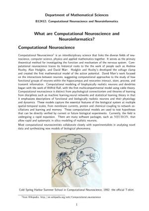 What Are Computational Neuroscience and Neuroinformatics? Computational Neuroscience