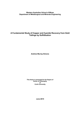 A Fundamental Study of Copper and Cyanide Recovery from Gold Tailings by Sulfidisation