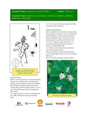Amelanchier Alnifolia (Nutt.) Family: Rosaceae Common Names