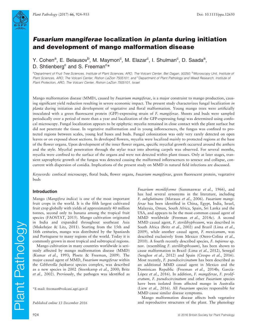 Fusarium Mangiferae Localization in Planta During Initiation and Development of Mango Malformation Disease