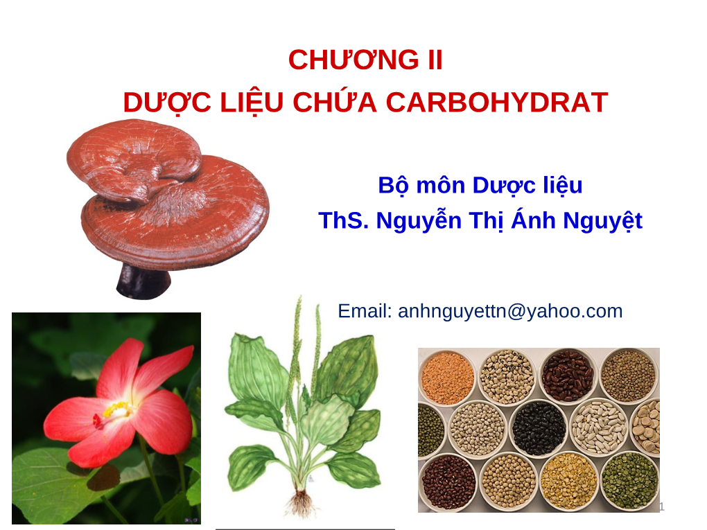 Chương Ii Dược Liệu Chứa Carbohydrat