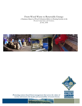 From Wood Waste to Renewable Energy: a Summary of Wood Utilization Efforts in Heating Systems in the West