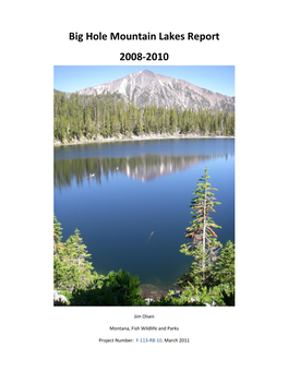 Big Hole Mountain Lakes Report 2008-2010