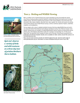 Birding and Wildlife Viewing