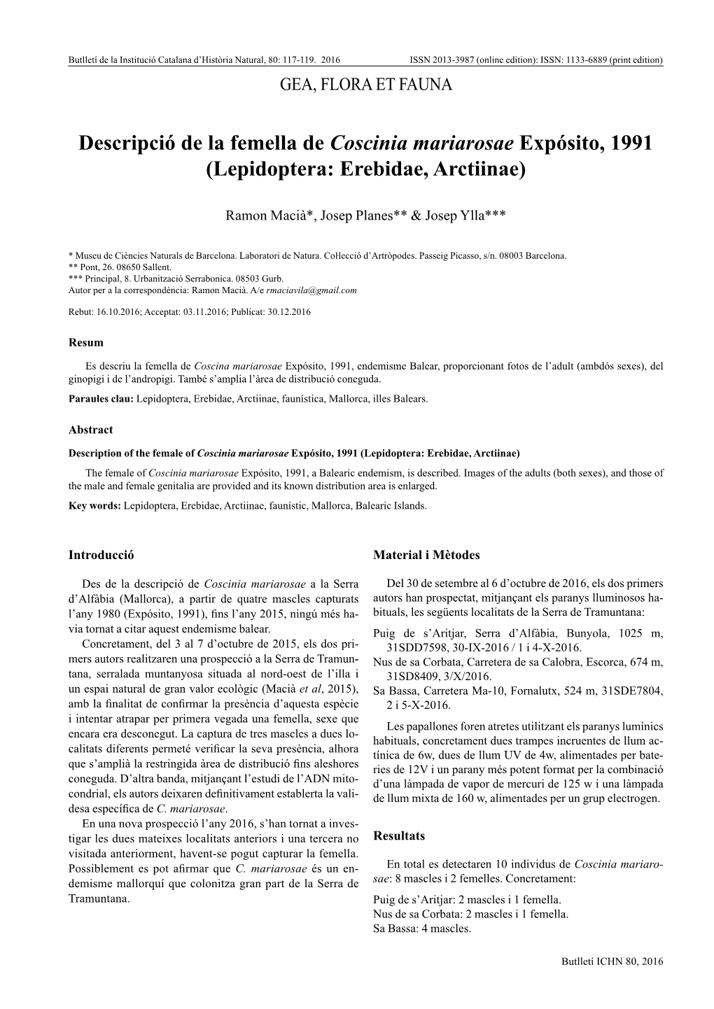 Descripció De La Femella De Coscinia Mariarosae Expósito, 1991 (Lepidoptera: Erebidae, Arctiinae)