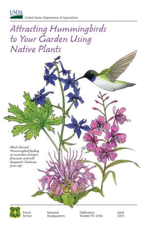 Attracting Hummingbirds to Your Garden Using Native Plants