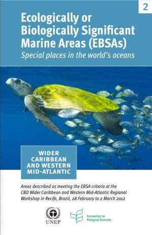 Ecologically Or Biologically Significant Marine Areas (Ebsas) Special Places in the World’S Oceans