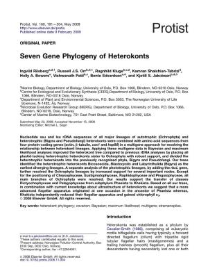 Seven Gene Phylogeny of Heterokonts