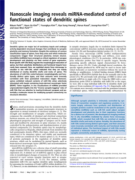 Nanoscale Imaging Reveals Mirna-Mediated Control of Functional States of Dendritic Spines