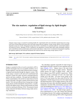 The Size Matters: Regulation of Lipid Storage by Lipid Droplet Dynamics