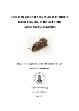 Male Mate Choice and Selectivity in Relation to Female Body Size, in the Seed Beetle Callosobruchus Maculatus