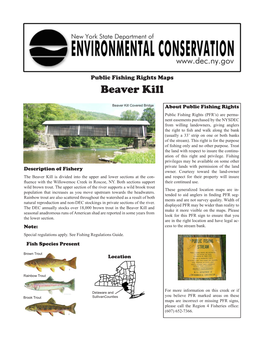 Public Fishing Rights Maps: Beaver Kill