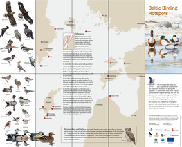 Baltic Birding Hotspots