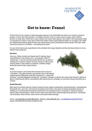 Get to Know: Fennel