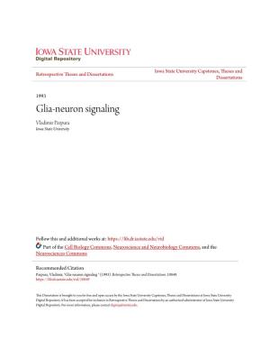 Glia-Neuron Signaling Vladimir Parpura Iowa State University