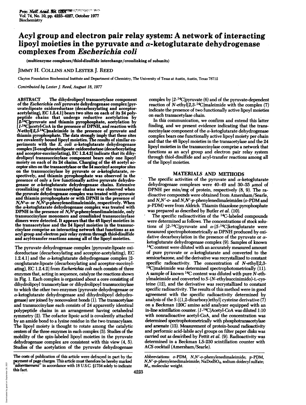 Lipoyl Moieties in the Pyruvate and A-Ketoglutarate Dehydrogenase