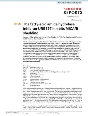 The Fatty-Acid Amide Hydrolase Inhibitor URB597 Inhibits MICA/B