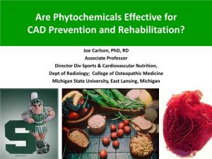 Are Phytochemicals Effective for CAD Prevention and Rehabilitation?