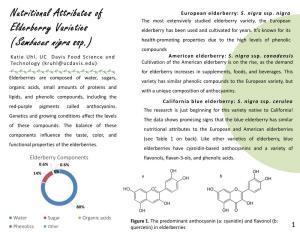 Nutritional Attributes of Elderberry Varieties (Sambucus Nigra Ssp.)