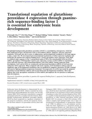 Translational Regulation of Glutathione Peroxidase 4 Expression Through Guanine- Rich Sequence-Binding Factor 1 Is Essential for Embryonic Brain Development
