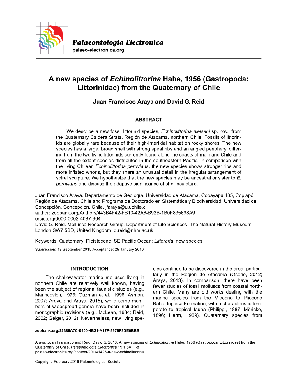 Gastropoda: Littorinidae) from the Quaternary of Chile