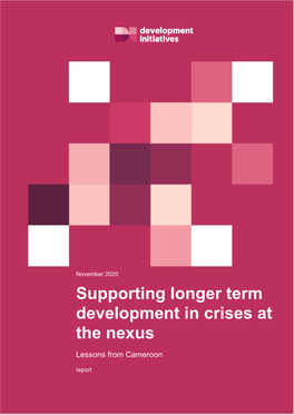 Supporting Longer Term Development in Crises at the Nexus
