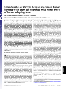 Characteristics of Borrelia Hermsii Infection in Human Hematopoietic Stem Cell-Engrafted Mice Mirror Those of Human Relapsing Fever