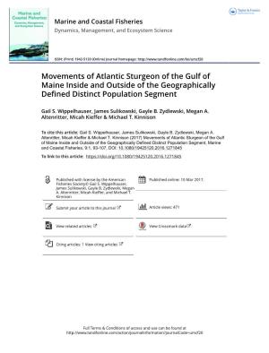 Movements of Atlantic Sturgeon of the Gulf of Maine Inside and Outside of the Geographically Defined Distinct Population Segment