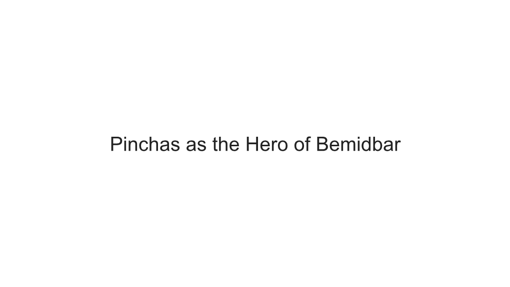 Pinchas As the Hero of Bemidbar