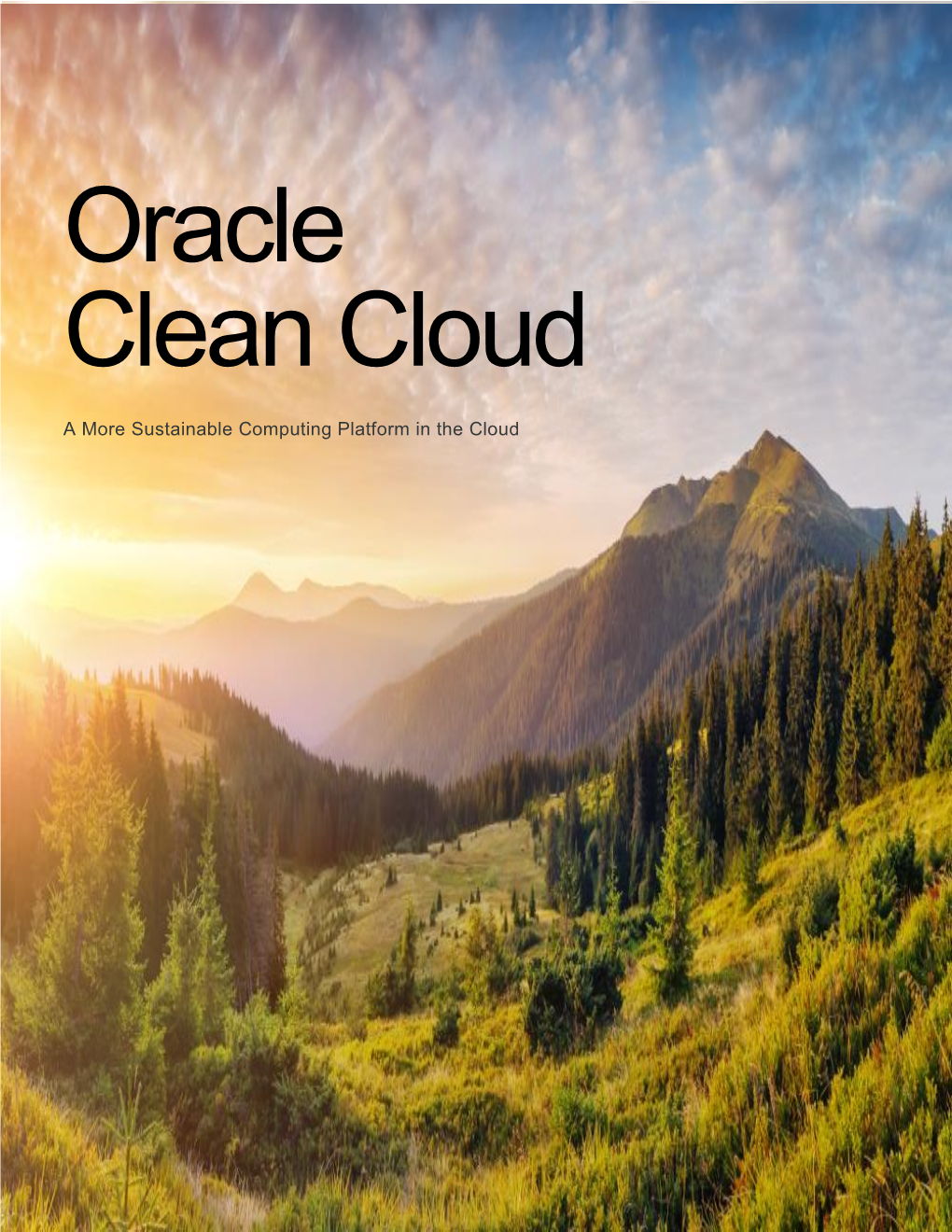 Oracle Clean Cloud