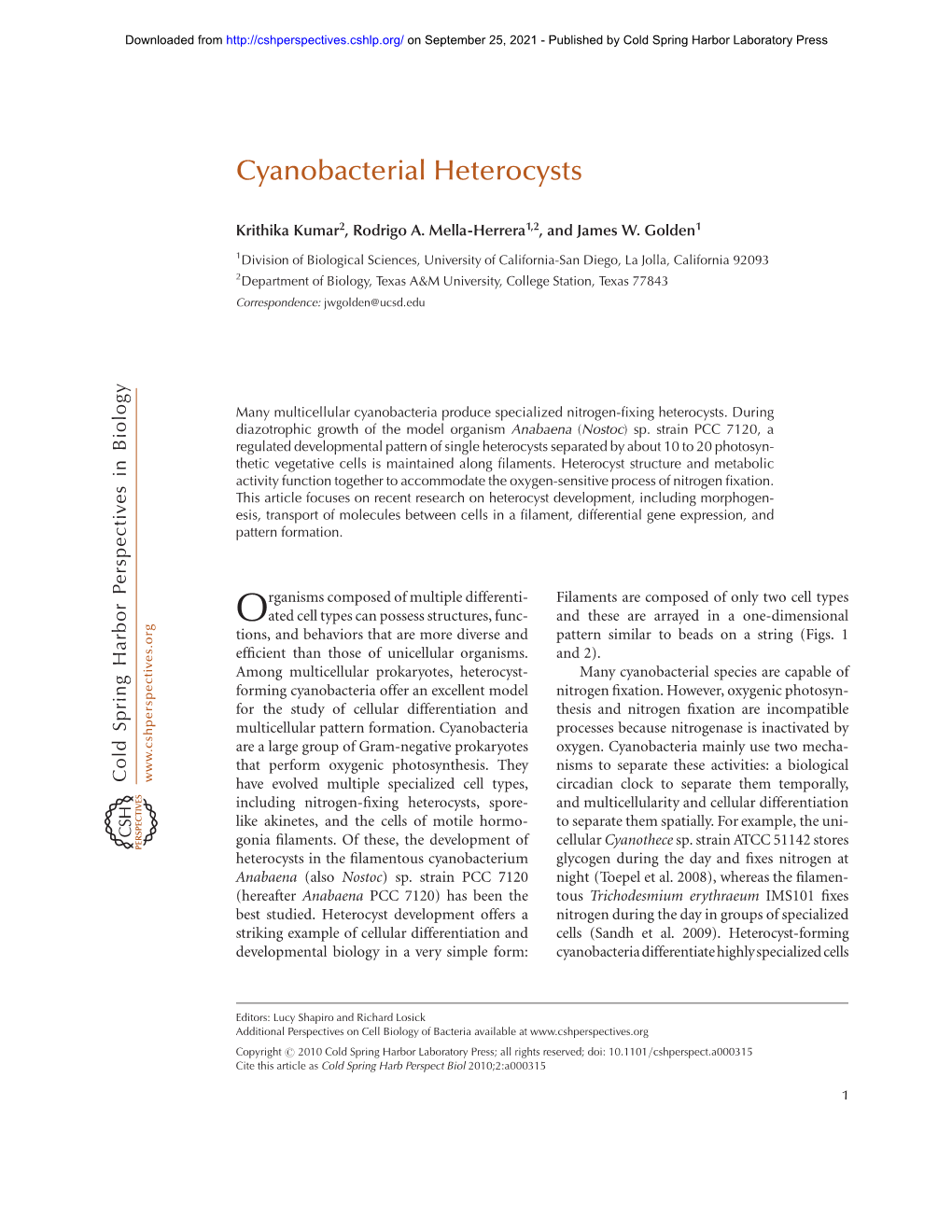 Cyanobacterial Heterocysts