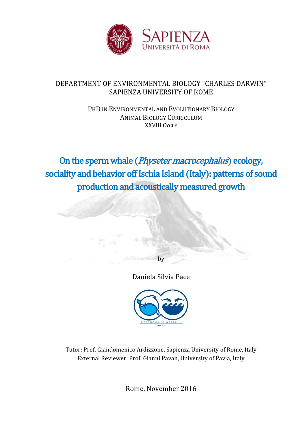 On the Sperm Whale (Physeter Macrocephalus) Ecology, Sociality and Behavior Off Ischia Island (Italy): Patterns of Sound Production and Acoustically Measured Growth