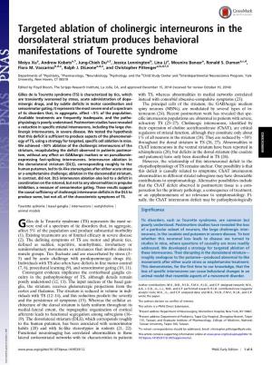 Targeted Ablation of Cholinergic Interneurons in the Dorsolateral Striatum Produces Behavioral Manifestations of Tourette Syndrome