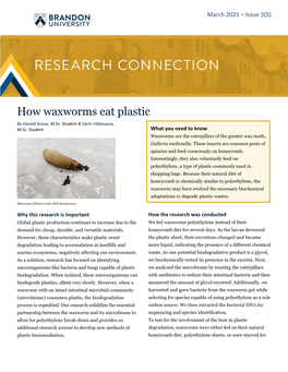 How Waxworms Eat Plastic by Harald Grove, M.Sc