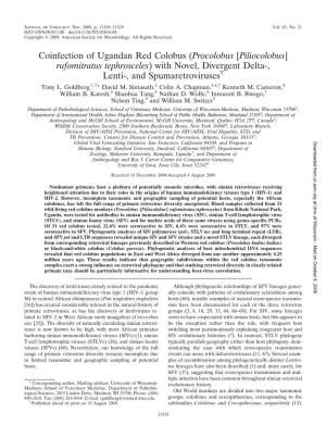 Procolobus [Piliocolobus] Rufomitratus Tephrosceles) with Novel, Divergent Delta-, Lenti-, and Spumaretrovirusesᰔ Tony L