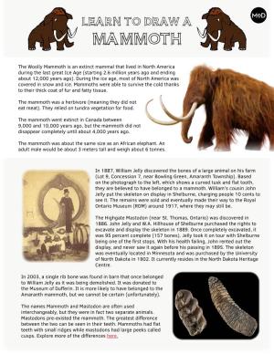 Draw a Mammoth