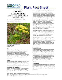 GOLDEN ALEXANDERS Plant Fact Sheet