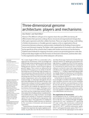 Three-Dimensional Genome Architecture: Players and Mechanisms