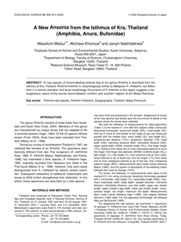 A New Ansonia from the Isthmus of Kra, Thailand (Amphibia, Anura, Bufonidae)